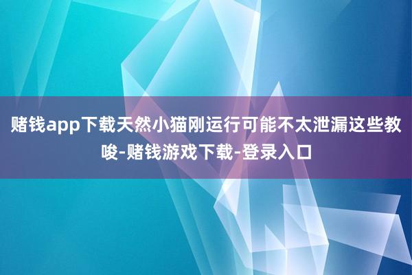 赌钱app下载天然小猫刚运行可能不太泄漏这些教唆-赌钱游戏下载-登录入口